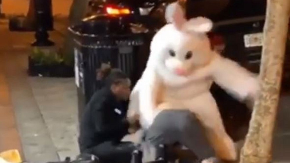 Florida Man Gets Rabbit Punched By Easter Bunny