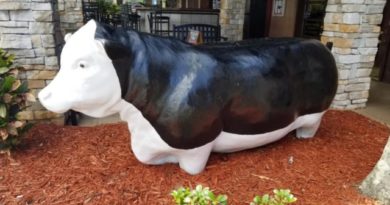 Florida Man Steals 12 Foot Cow Statue From Restaurant