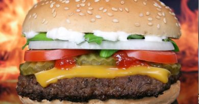 Florida Man Arrested After Slapping Girlfriend With Cheeseburger