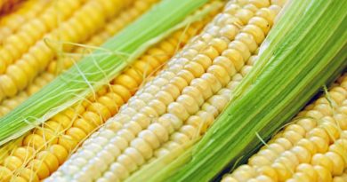 Florida Man Arrested For Hitting Mom On Head With Corn On Cob
